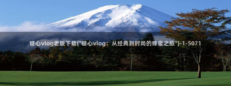 成人软件糖心vlog