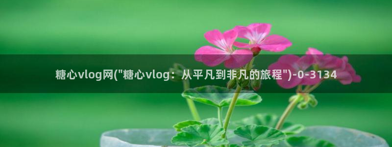 糖心vlog所有演员