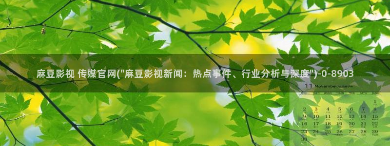 麻豆传媒官网是啥：麻豆影视 传媒官网(\