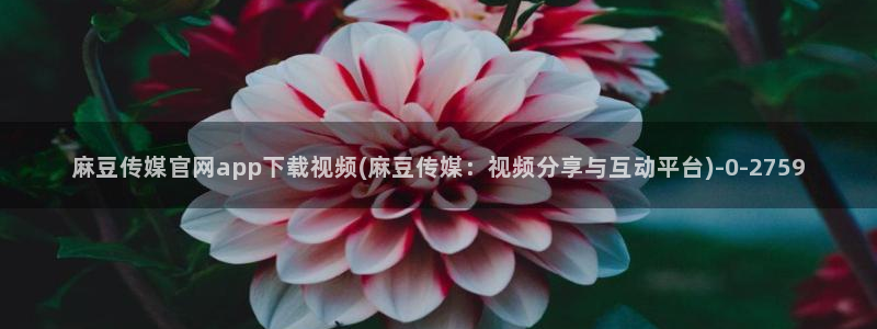 麻豆传媒官网综合：麻豆传媒官网app下载视频(麻豆传媒：视频分享与互动平台)