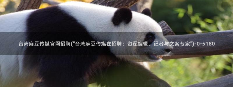 麻豆传媒官网在线观：台湾麻豆传媒官网招聘(\