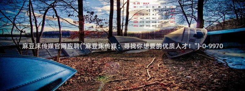 麻豆传媒官网欢迎你：麻豆床传媒官网应聘(\