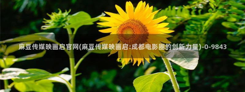 91麻豆传媒app官网：麻豆传媒映画启官网(麻豆传媒映画启:成都电影圈的创新力量)