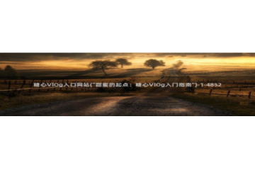 糖心vlog下载：糖心VlOg入口网站(\