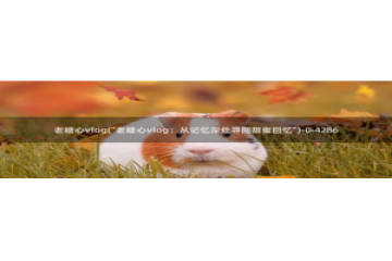 糖心vlog加速器：老糖心vlog(\