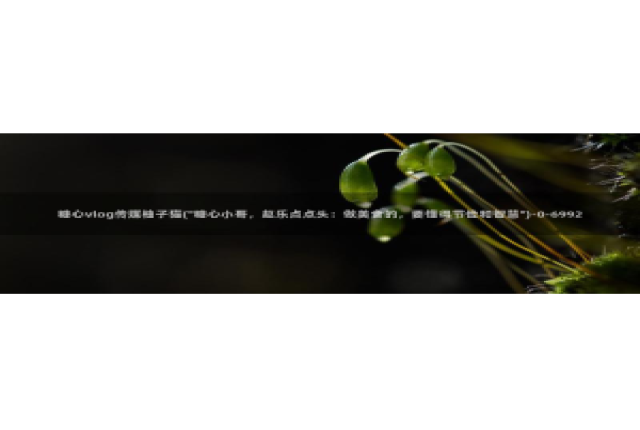 糖心vlog七客：糖心vlog传媒柚子猫(\