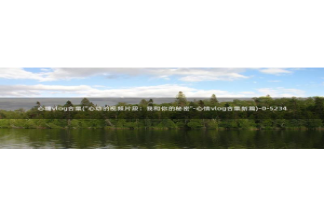 糖心vlog以前版本：心糖vlog合集(\