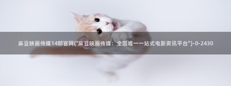 麻豆影映传媒官网：麻豆映画传媒14部官网(\