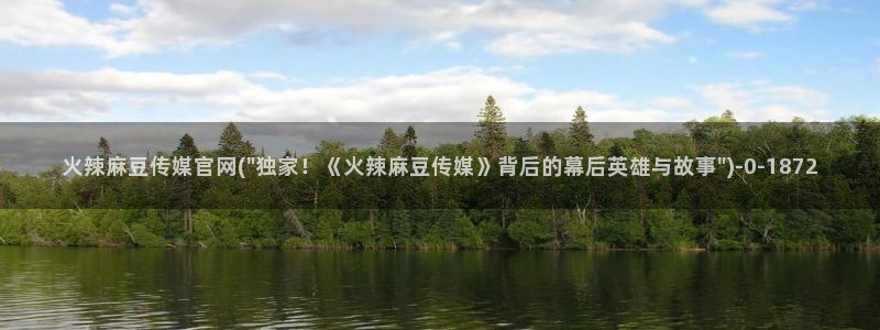麻豆传媒网站官网