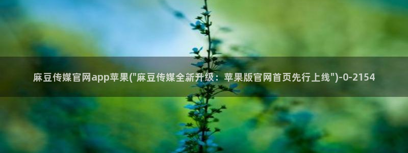 麻豆床传媒官网2021：麻豆传媒官网app苹果(\
