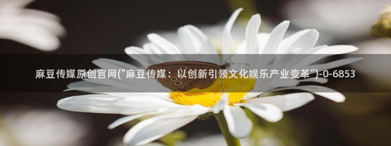 麻豆村麻豆官网传媒：麻豆传媒原创官网(\