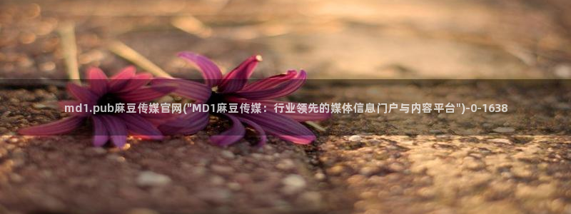 9麻豆传媒官网：md1.pub麻豆传媒官网(\