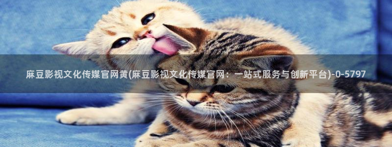 麻豆传媒app官网成人：麻豆影视文化传媒官网黄(麻豆影视文化传媒官网：一站式服务与创新平台)