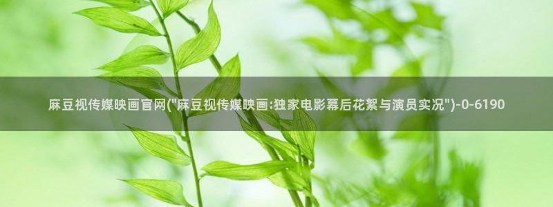mbpub麻豆传媒官网：麻豆视传媒映画官网(\