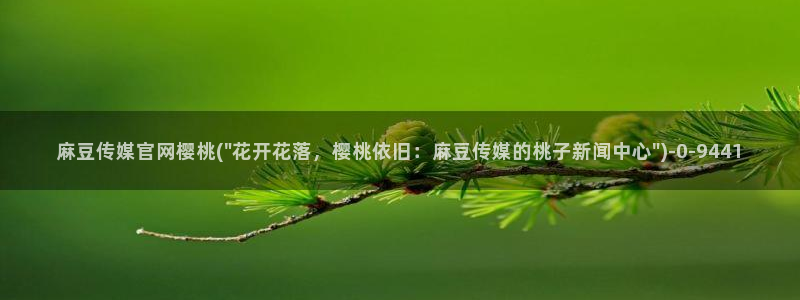 麻豆传媒官网污