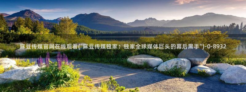 麻豆床传媒app官网：麻豆传媒官网在线观看(\