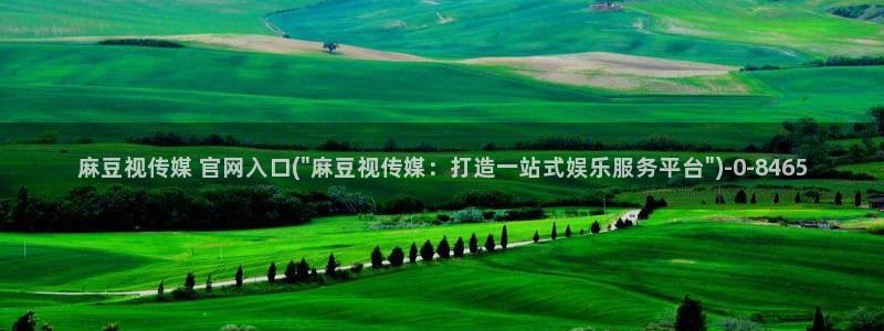 麻豆传媒体官网
