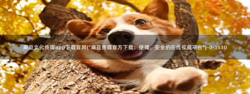 麻豆眏画传媒官网：麻豆文化传媒app下载官网(\