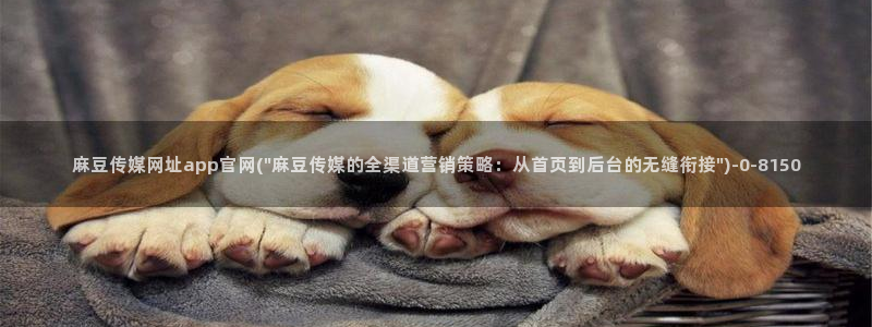 md麻豆传媒官网