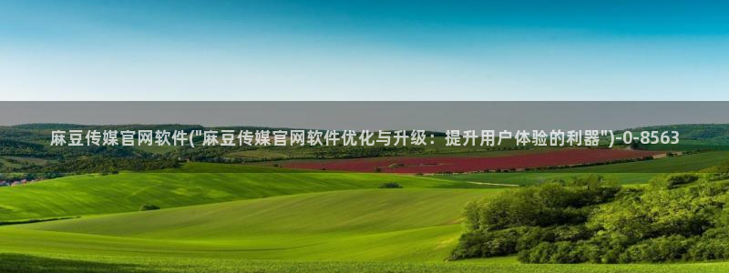 91麻豆传媒官网APP