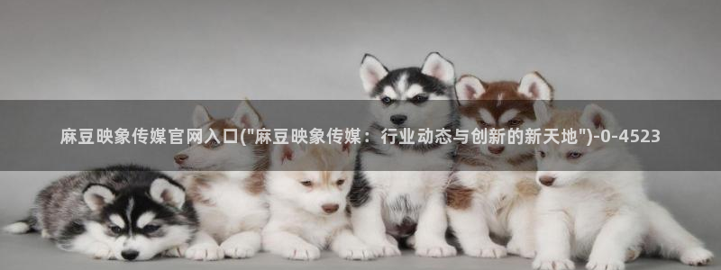 麻豆传媒直播官网app：麻豆映象传媒官网入口(\