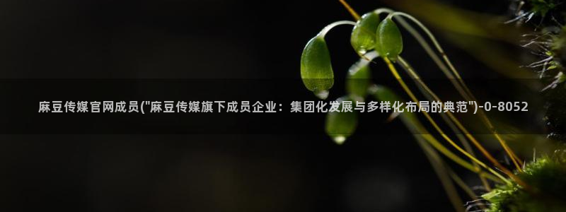 麻豆传媒官网免费观看：麻豆传媒官网成员(\