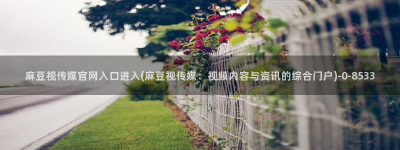 麻豆影像传媒官网：麻豆视传媒官网入口进入(麻豆视传媒：视频内容与资讯的综合门户)