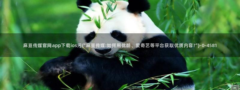 麻豆眏画传媒官网