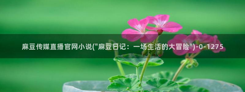 火辣麻豆传媒官网