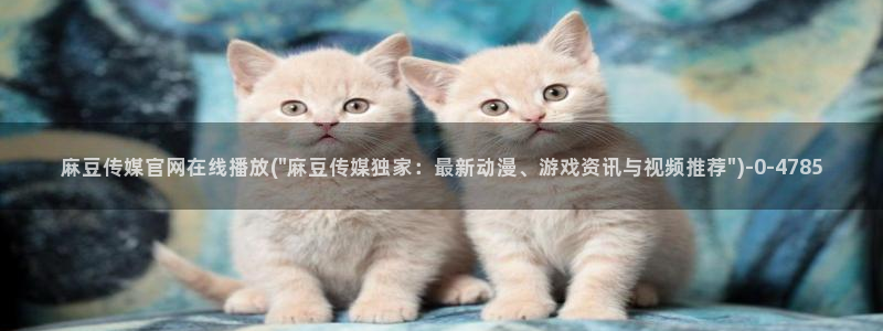 麻豆视传媒官网在哪